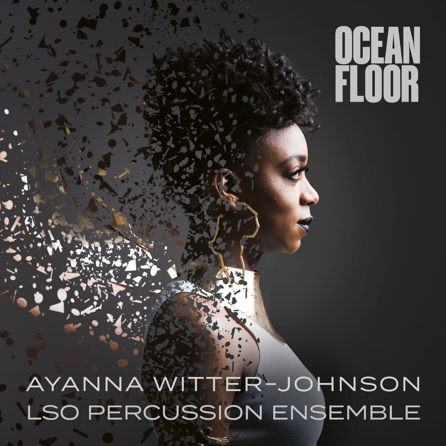 Ayanna Witter–Johnson: Ocean Floor