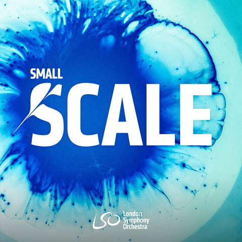 Small Scale