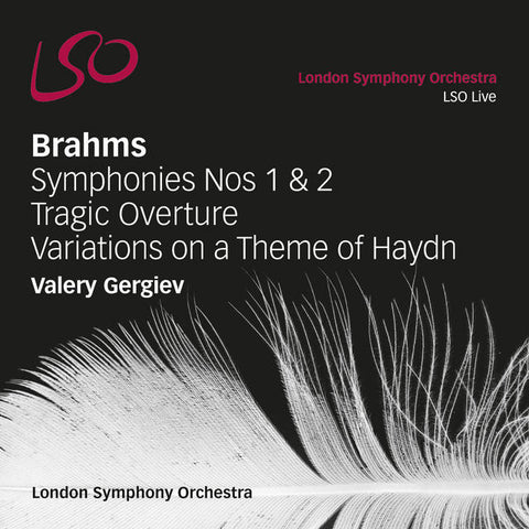 Brahms: Symphonies Nos 1 & 2, Tragic Overture, Variations on a Theme of Haydn